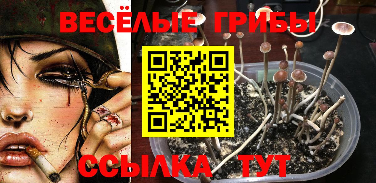 Псилоцибиновые грибы GOLDEN TEACHER Электрогорск
