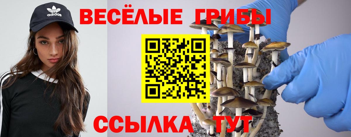наркота  Псилоцибиновые грибы Cubensis  Псилоцибиновые грибы Psilocybine cubensis  Вход с VPN  Электрогорск 