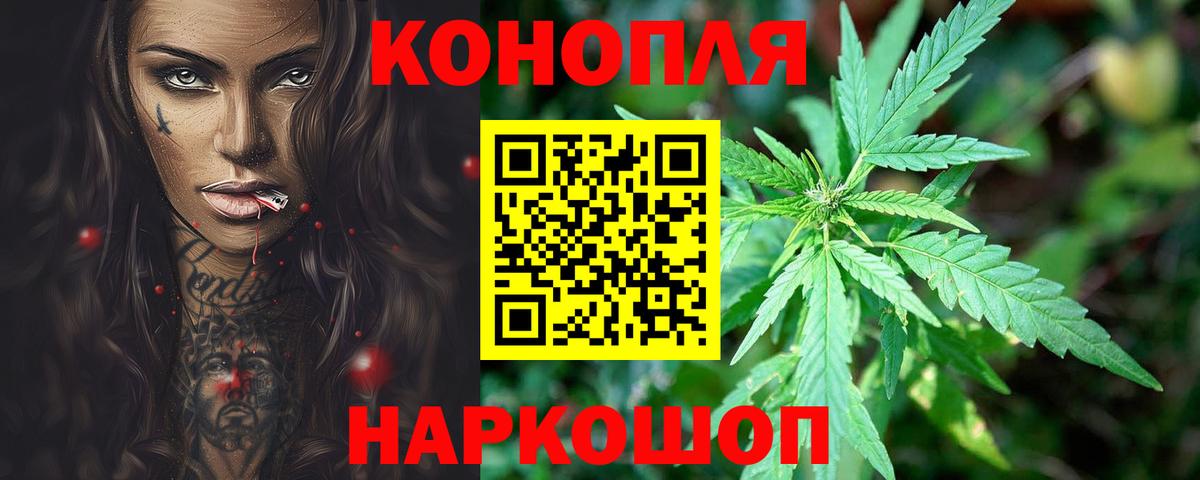 Бошки Шишки план Электрогорск
